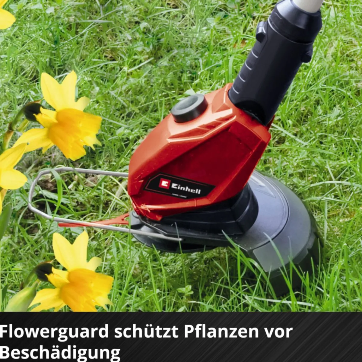 Online Einhell Akku-Rasentrimmer GE-CT 18 Li Solo