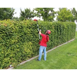 Best Einhell Akku-Teleskop-Heckenschere GE-HH 18/45Li T - Solo
