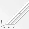 New Alfer Flach-Abschlussprofil 30 x 5 mm 1m titan