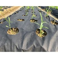New Anti Unkrautvlies 1,5x25m 50g