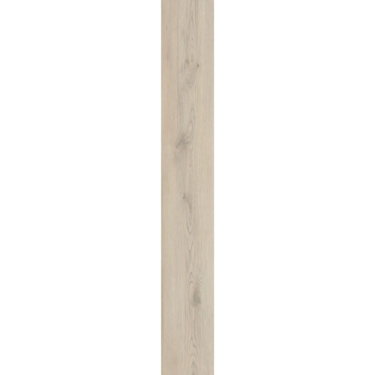 Clearance Basic SPC Rigid Designboden Eiche beige 1220x181x3,2