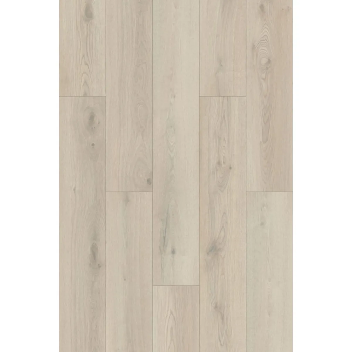 Clearance Basic SPC Rigid Designboden Eiche beige 1220x181x3,2