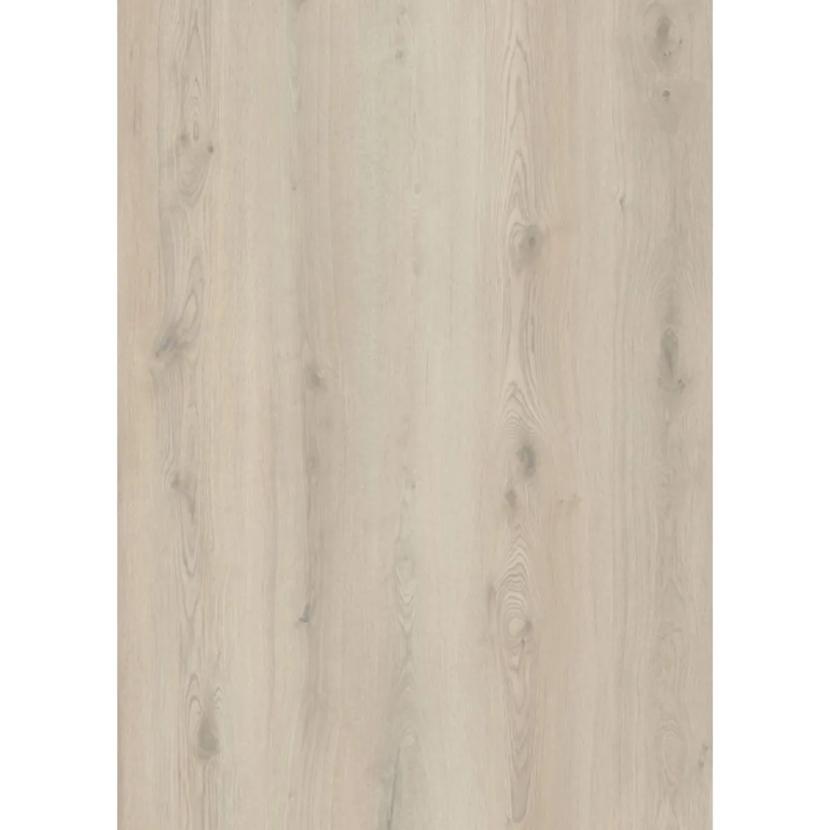 Clearance Basic SPC Rigid Designboden Eiche beige 1220x181x3,2