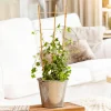Discount Windhager Blumenstütze 60x30cm Bambus
