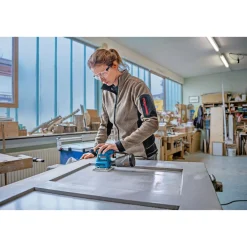 Online Bosch Professional Schwingschleifer GSS 160-1 A Multi