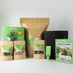 Sale Bud Voyage Anzucht-Set Easy-Grow-Kit