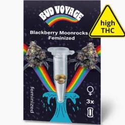 New Bud Voyage Hanfsamen Blackberry Moonrocks Feminisiert