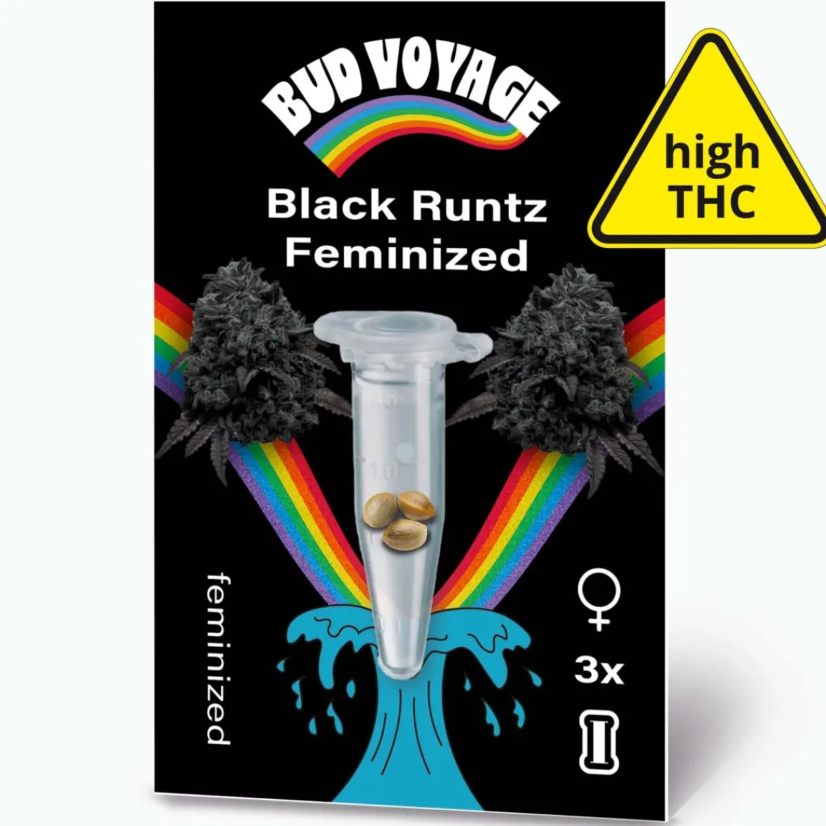 Clearance Bud Voyage Hanfsamen Black Runtz Feminisiert