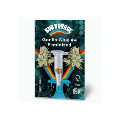 Best Bud Voyage Hanfsamen Gorilla Glue Fem