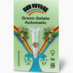 Clearance Bud Voyage Hanfsamen Green Gelato Auto