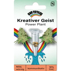 Outlet Bud Voyage Hanfsamen Kreativer Geist - Power Plant
