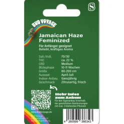 Outlet Bud Voyage Hanfsamen Lachflash - Jamaican Haze