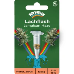 Outlet Bud Voyage Hanfsamen Lachflash - Jamaican Haze