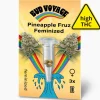 Online Bud Voyage Hanfsamen Pineapple Fruz Feminisiert