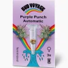 Hot Bud Voyage Hanfsamen Purple Punch Auto
