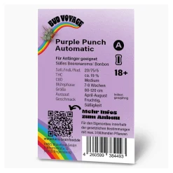 Hot Bud Voyage Hanfsamen Purple Punch Auto