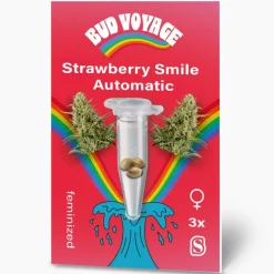 Hot Bud Voyage Hanfsamen Strawberry Smile Auto