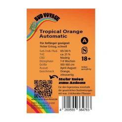 Hot Bud Voyage Hanfsamen Tropical Orange Auto