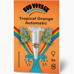 Hot Bud Voyage Hanfsamen Tropical Orange Auto