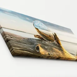Clearance Pro-Art Canvas-Art Glaskugel 30 x 80 cm