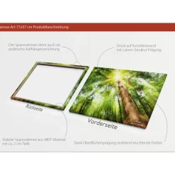 New Pro-Art Canvas-Art Wald 60 x 80 cm