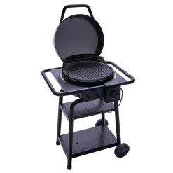 Clearance Char-Broil CBPatio Bistro E2Coal 240