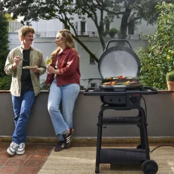 Clearance Char-Broil CBPatio Bistro E2Coal 240