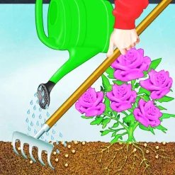 Best Compo BIO Rosen Langzeit-Dünger mit Schafwolle