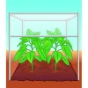 Sale Compo BIO Tomaten- und Gemüseerde torffrei 40 L
