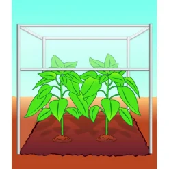 Sale Compo BIO Tomaten- und Gemüseerde torffrei 40 L