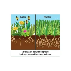 New Compo FLORANID Rasendünger plus Unkrautvernichter für 400 m²