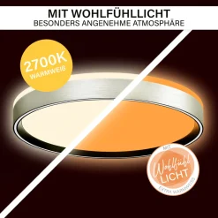 Clearance Decken-Wandleuchte SHINING PLUTO LED ALU 1800K 24W