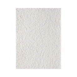 Clearance Erfurt Vlies Rauhfaser Rustic weiß