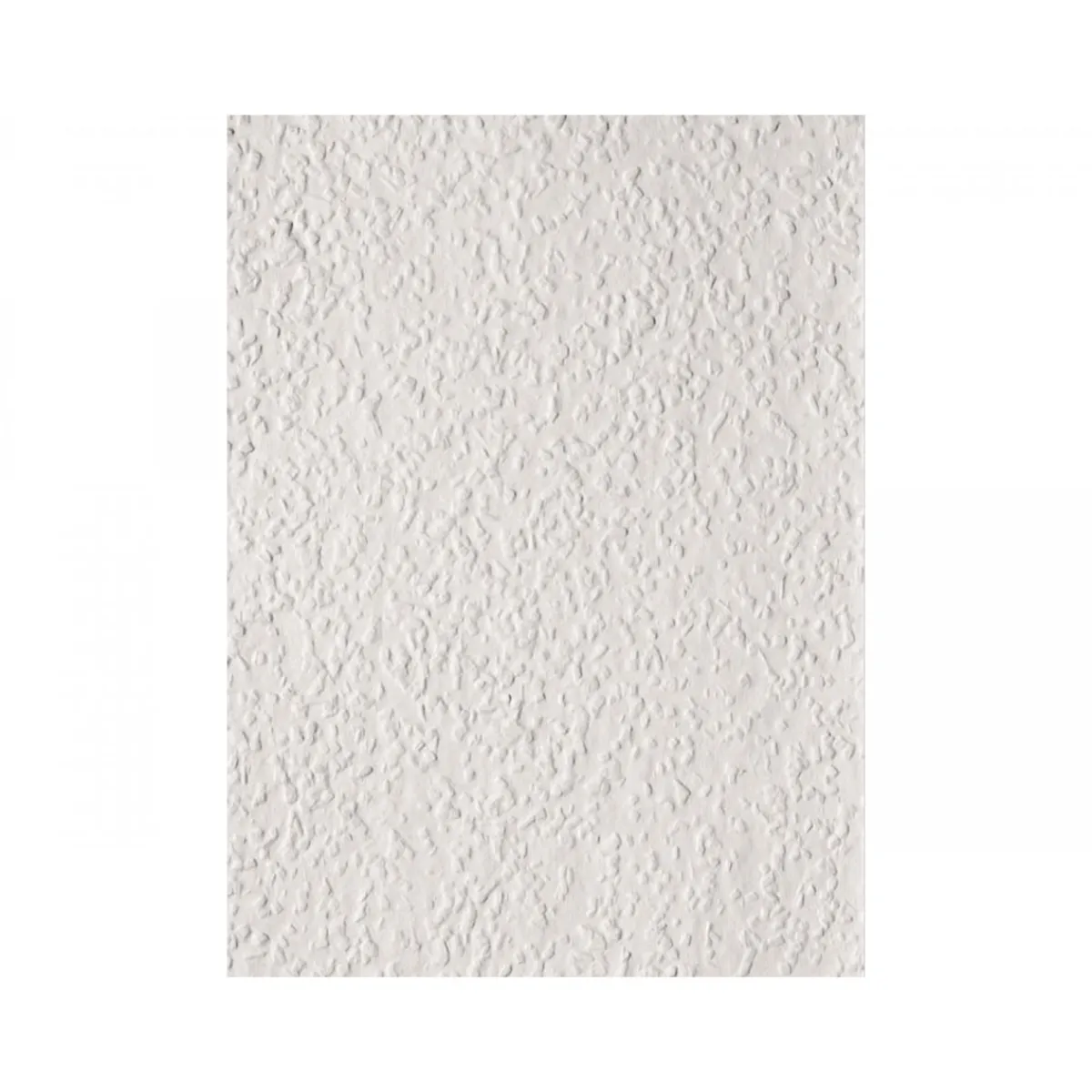 Clearance Erfurt Vlies Rauhfaser Rustic weiß