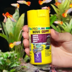 Sale Fischfutter PRONOVO GUPPY GRANO S 100 ml