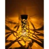 Clearance Flector Garten LED-Solarspieß Nova schwarz 2er-Set