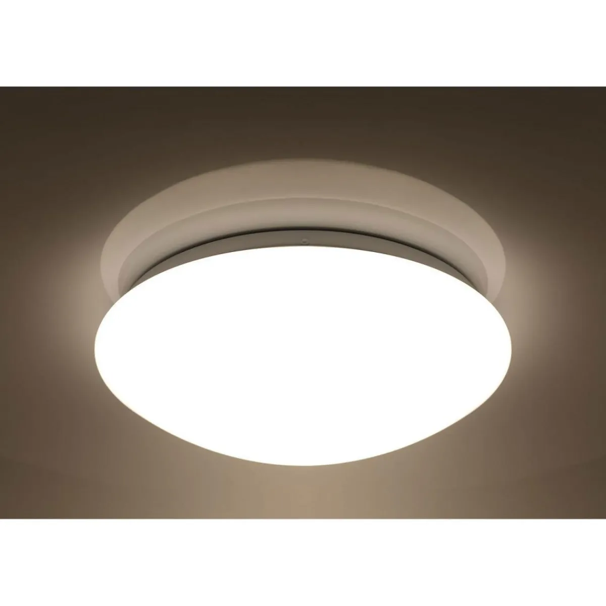 Online Flector LED-Wand- und Deckenleuchte Sandy dimmbar 30 cm