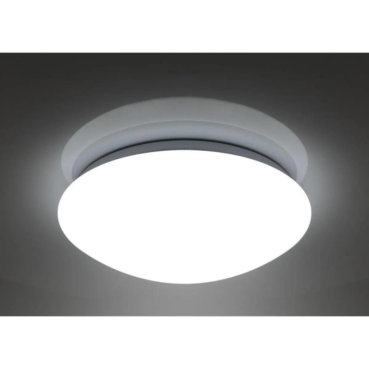 Online Flector LED-Wand- und Deckenleuchte Sandy dimmbar 30 cm