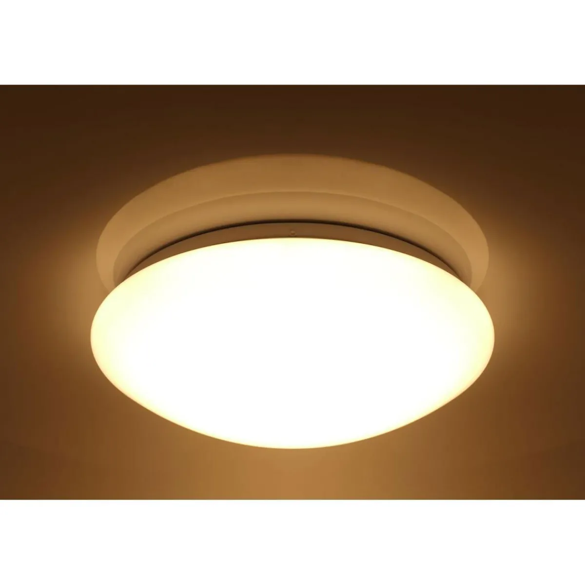 Online Flector LED-Wand- und Deckenleuchte Sandy dimmbar 30 cm