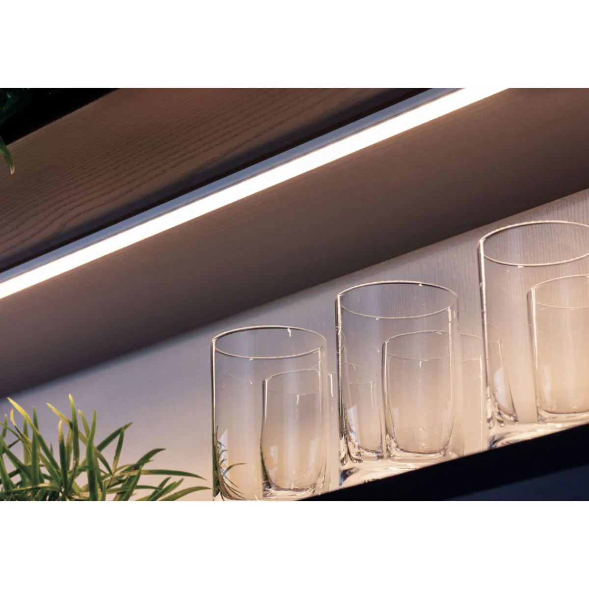 Online Paulmann Function Base Profil mit Diffusor 200 cmAlu eloxiert/Satin Alu/Kunststoff