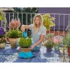 Clearance Gardena Formschnittmatte City Gardening