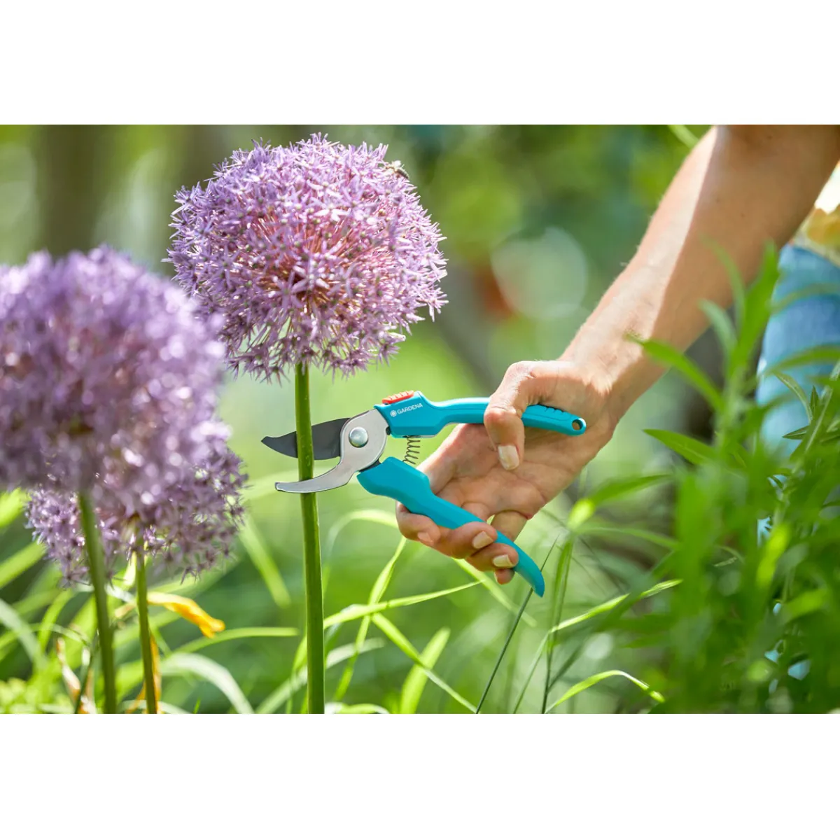 Hot Gardena Gartenschere Classic