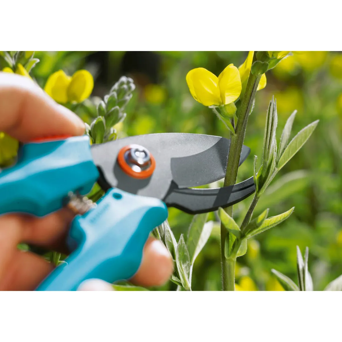 Hot Gardena Gartenschere Classic