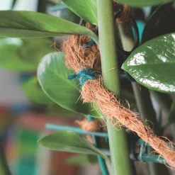 Hot Windhager Gartenschnur Jute grün