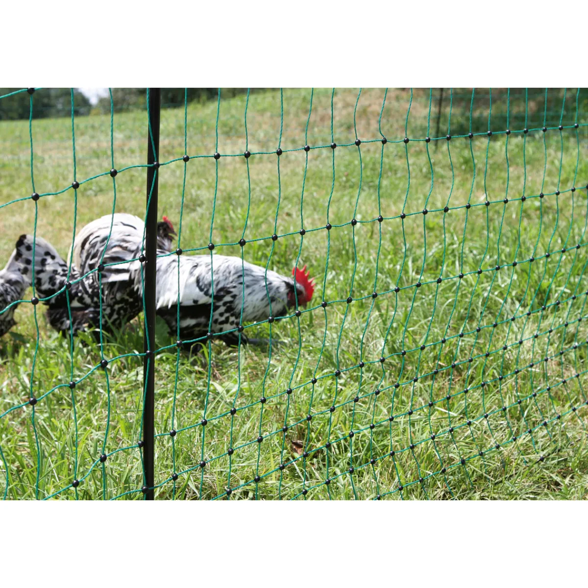 New Geflügelnetz PoultryNet Doppelspitze 106 cm m grün