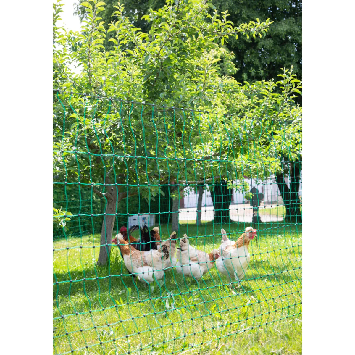 New Geflügelnetz PoultryNet Doppelspitze 106 cm m grün