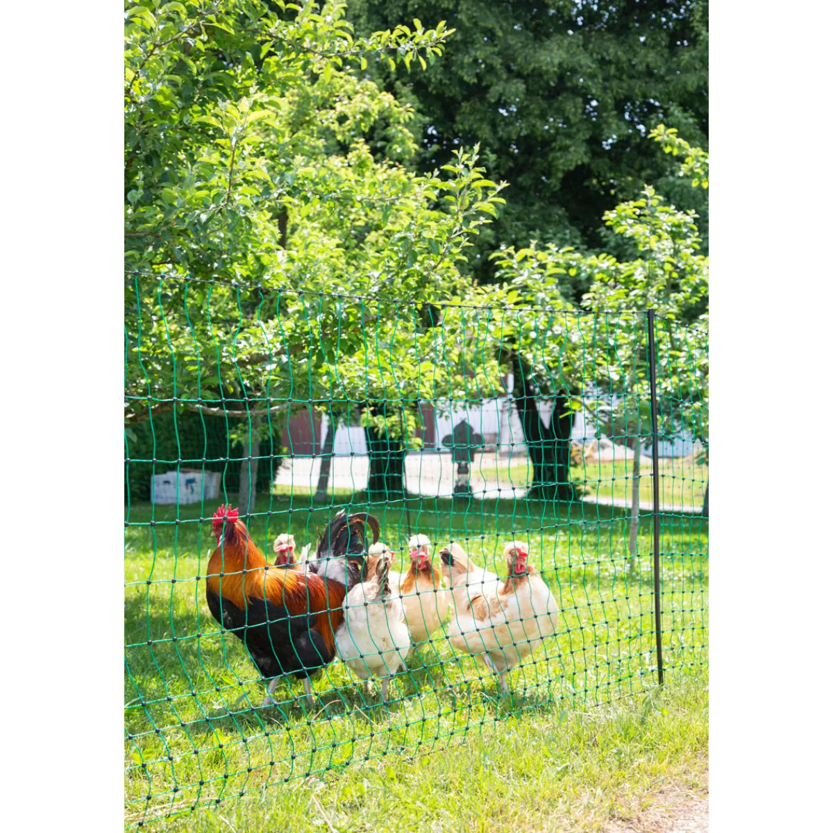 New Geflügelnetz PoultryNet Doppelspitze 106 cm m grün