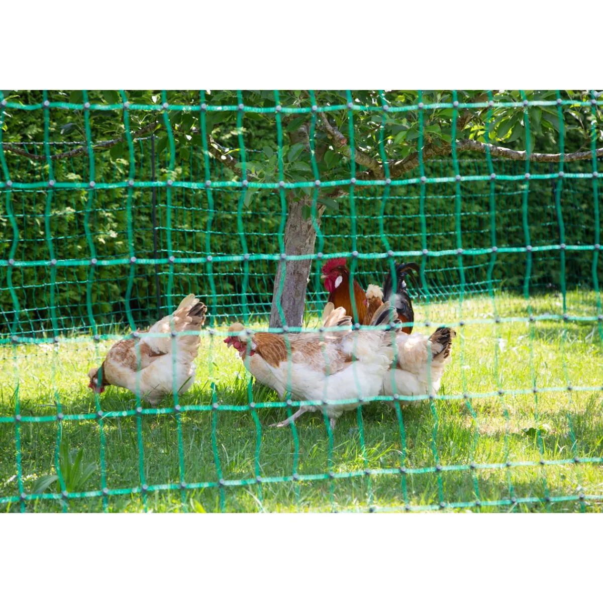 New Geflügelnetz PoultryNet Doppelspitze 106 cm m grün