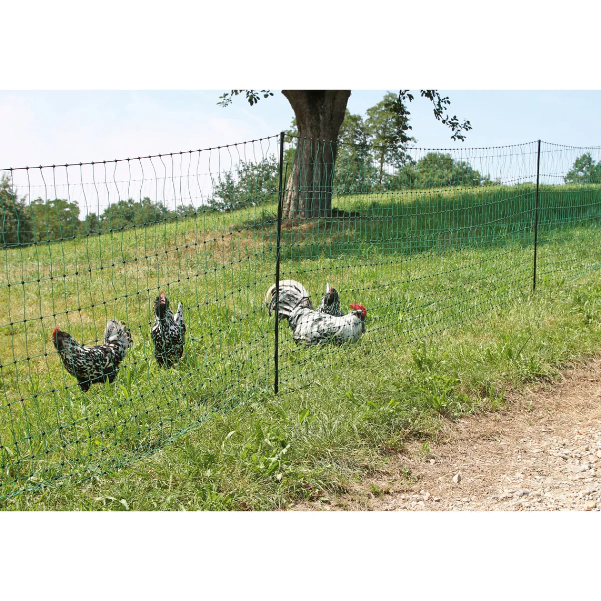 New Geflügelnetz PoultryNet Doppelspitze 106 cm m grün