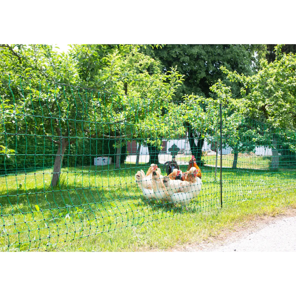 New Geflügelnetz PoultryNet Doppelspitze 106 cm m grün